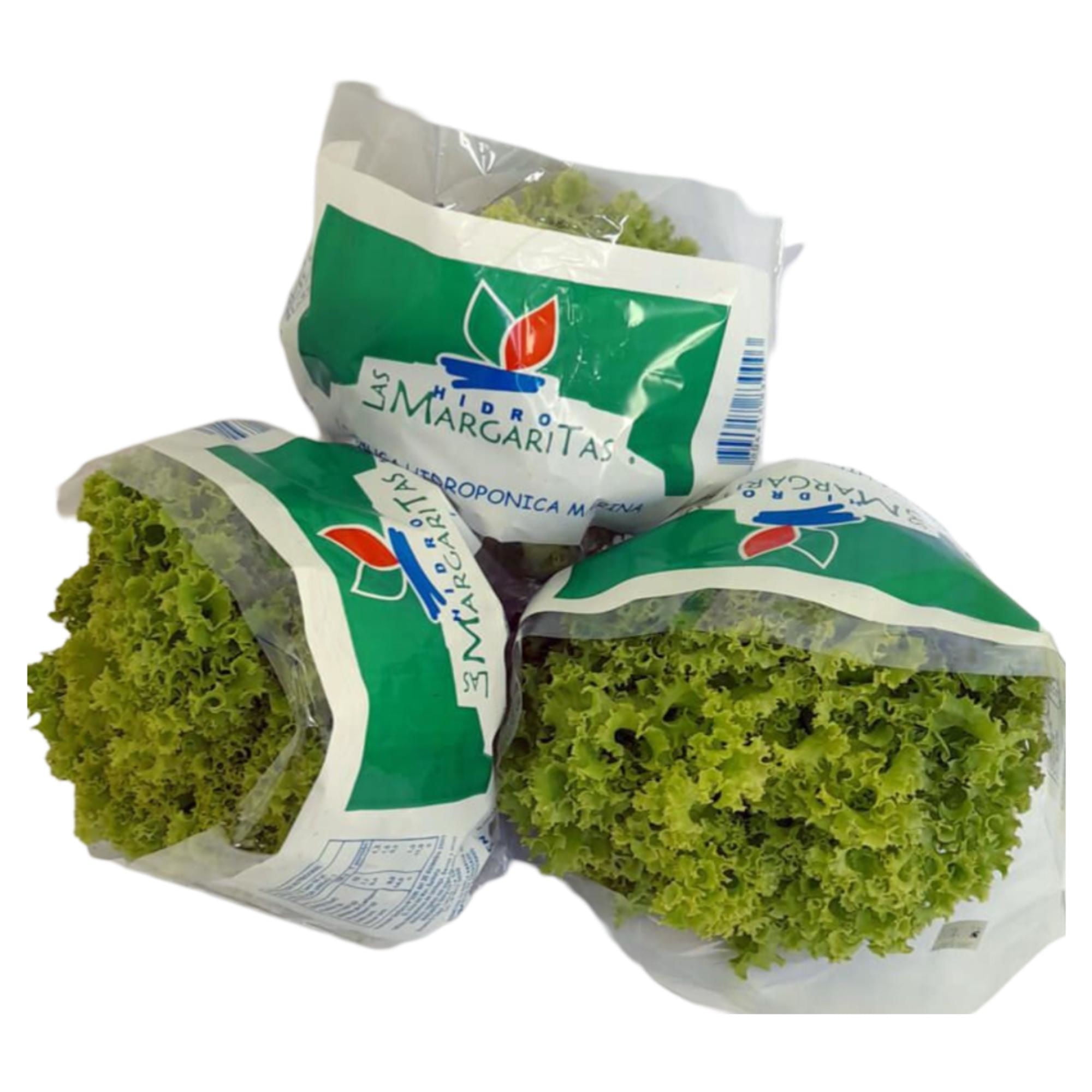 Lechuga Marina Bolsa 1 Un