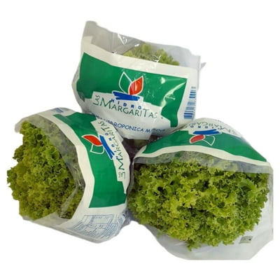 Lechuga Marina Bolsa 1 Un