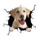 thumbnail image 3 of Pegatinas De PVC Para Perros, Calcomanías Para Grietas De Coches, Adhesivos Para Ventana De Mascotas Para Pared, Nevera, Camión E, 3 of 5