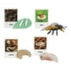 thumbnail image 2 of Figuritas de , juguete, biología, ciencia, etapa de crecimiento educativo, modelo, figuritas de animales, juguetes para decoración de Abeja, 2 of 5