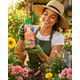 thumbnail image 2 of Fertilizante Floración Orgánico 60 ml Grow Sweet – Flores Más Grandes y Abundantes, 2 of 5