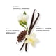 thumbnail image 3 of Perfume ETLEÉ Toasted Vanilla Eau de Parfum 30 mL para mujer y hombre, 3 of 9