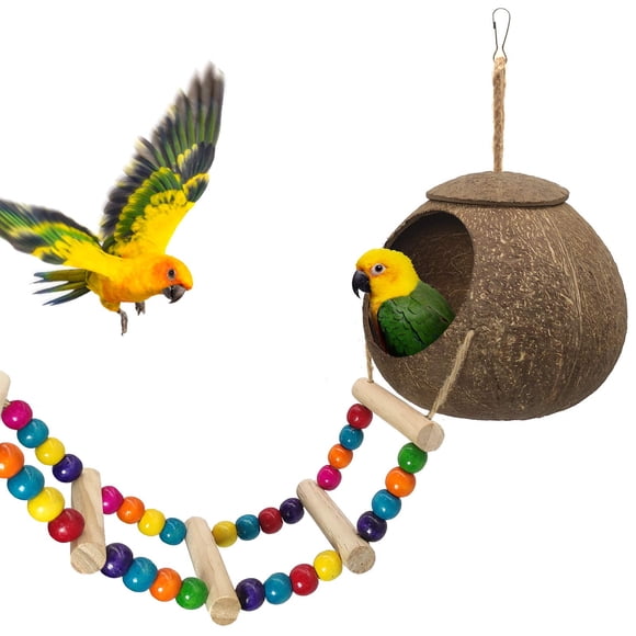 Coconut Bird House Eeaivnm colgante con escalera para pájaros pequeños