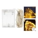 thumbnail image 1 of Guirnalda Luces 100 Led Hadas 10m Pilas Navidad Calido/d029, 1 of 3