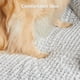 thumbnail image 5 of Cama Ortopédica para Perros LEXTRO XXL con Funda Impermeable, 5 of 6
