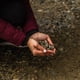 thumbnail image 5 of Santevia de repuesto de Mineral Stones para sistema de agua por gravedad, 5 of 6