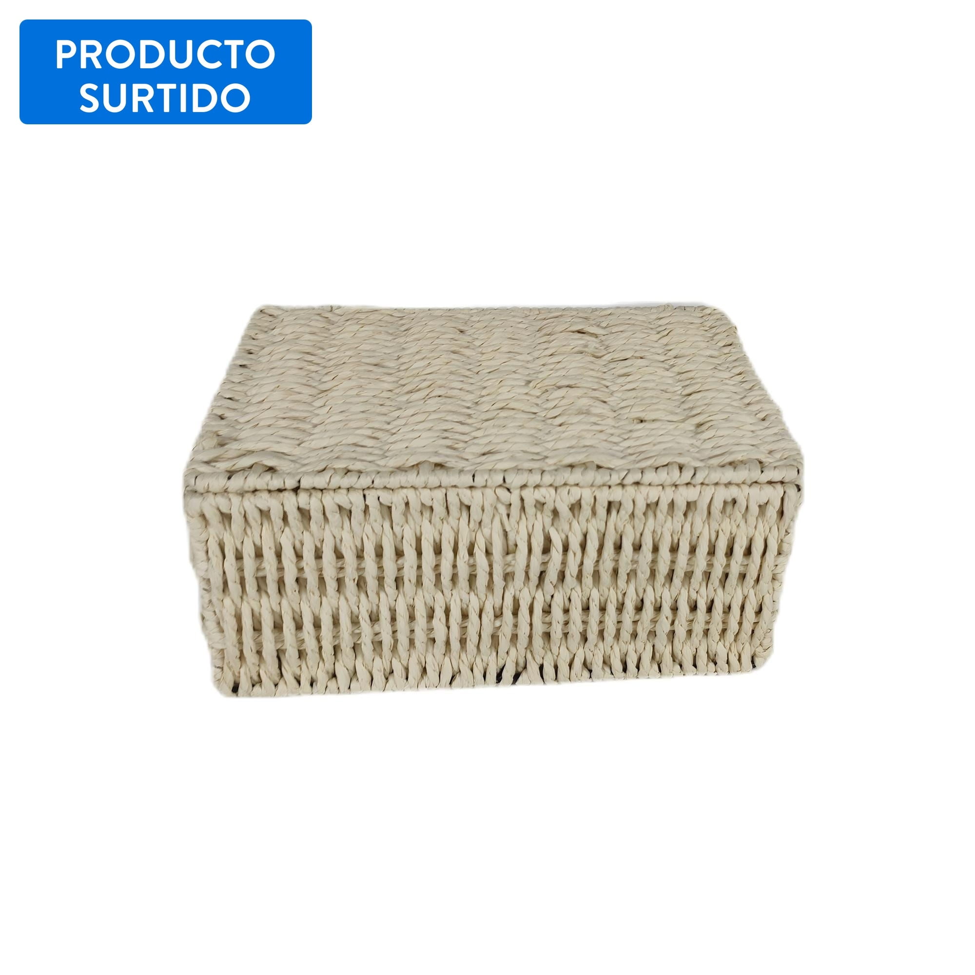 Mainstays - Canasto Con Tapa Cuerda De Papel Hierro Surtido 5 Lt Multicolor