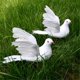 thumbnail image 2 of 4x Palomas De Espuma De Plumas Artificiales Falsas Pájaros Decoración De Boda Palomas Voladoras, 2 of 4