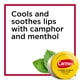 thumbnail image 3 of Bálsamo labial Carmex, humectante medicado para labios, 7 ml (4 paquetes de 3), 3 of 9