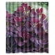 thumbnail image 1 of Cortina de ducha con árboles morados otoñales, juego de cortina de baño con ganchos, tamaño 60 x 72 pulgadas, 1 of 3