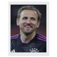 thumbnail image 1 of Harry Kane theme Diamond Painting Kits For Adults 5d Diy Diamond Art Kits Full Drill Diamond Dots For Gift Wall Decor And Relaxation Gem Arts 20*30cm, 1 of 6