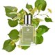 thumbnail image 2 of Perfume Acca Kappa Tilia Cordata EDP 100 ml para mujer, 2 of 2