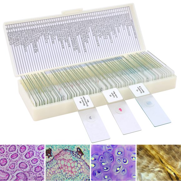Set de portaobjetos de microscopio LAKWAR 60 muestras para niños y adultos