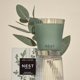 thumbnail image 5 of Candle NEST New York, menta silvestre y eucalipto, 240 ml, con 60 horas de combustión, 5 of 7
