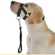 thumbnail image 1 of Collar para perros sin tirar para perros grandes (perros agresivos / reactivos; parada instantánea de tirar; collar de entrenamiento suave para perros; solución cómoda, segura y efectiva par, 1 of 3