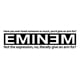 thumbnail image 1 of Decomural Have You Ever Loved Someone Eminem Lyrics WS-40946, 1 of 2