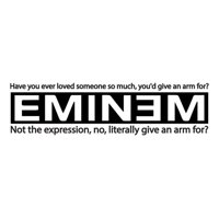 Rienda Libre Graphics - Decomural Have You Ever Loved Someone Eminem Lyrics Ws-40946