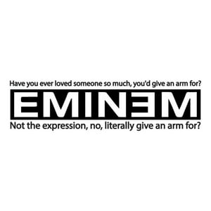Rienda Libre Graphics - Decomural Have You Ever Loved Someone Eminem Lyrics Ws-40946