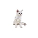 thumbnail image 1 of Body Post Operatorio para Gatos Diseños Variados Talla S, 1 of 2