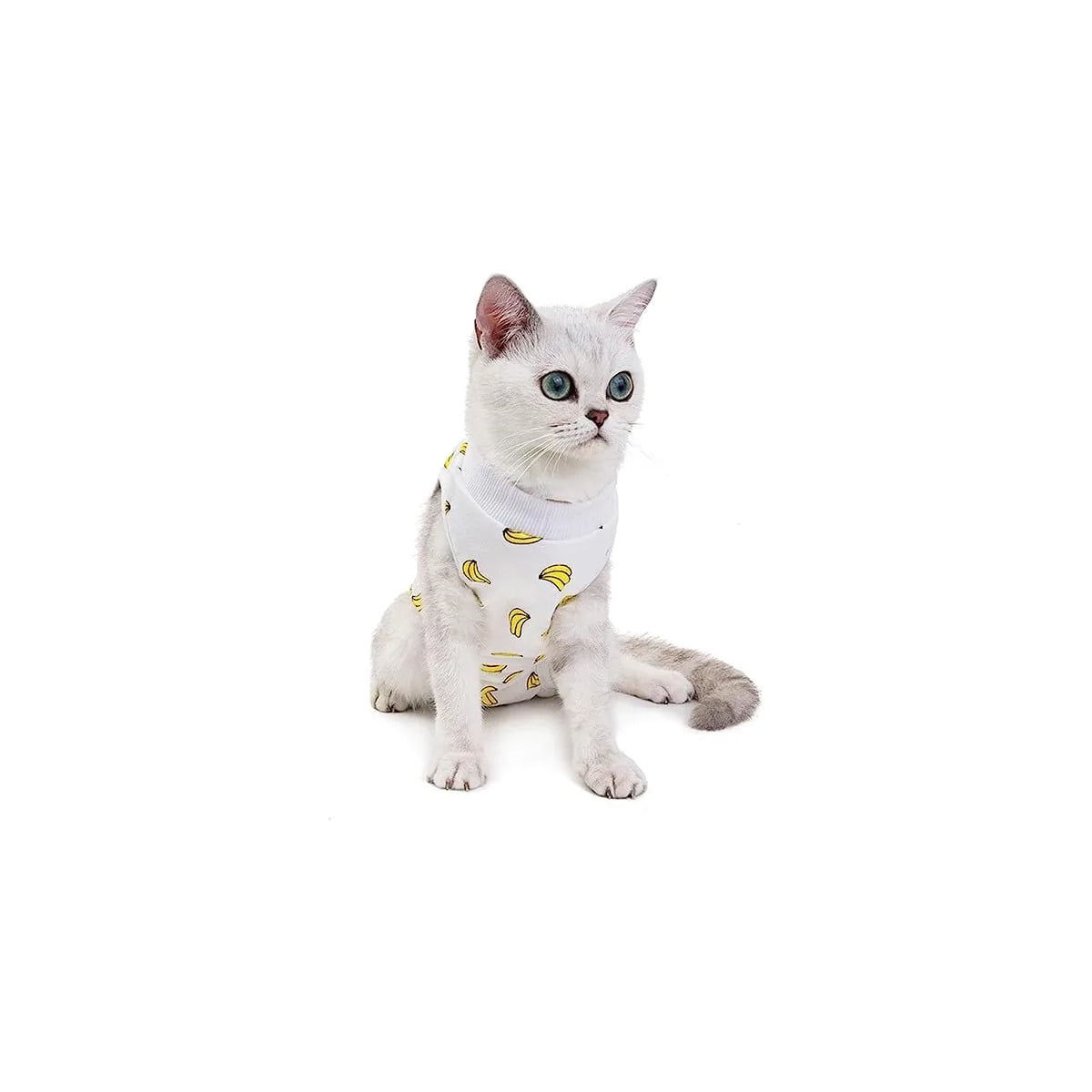 Body Post Operatorio para Gatos Diseños Variados Talla S