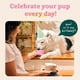 thumbnail image 3 of Juguete interactivo para perros WOOF Party Pupsicle para perros pequeños, 3 of 7