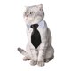 thumbnail image 2 of Conjunto de pajarita y corbata para mascotas, cuello formal ajustable Yosbabe, 2 of 7