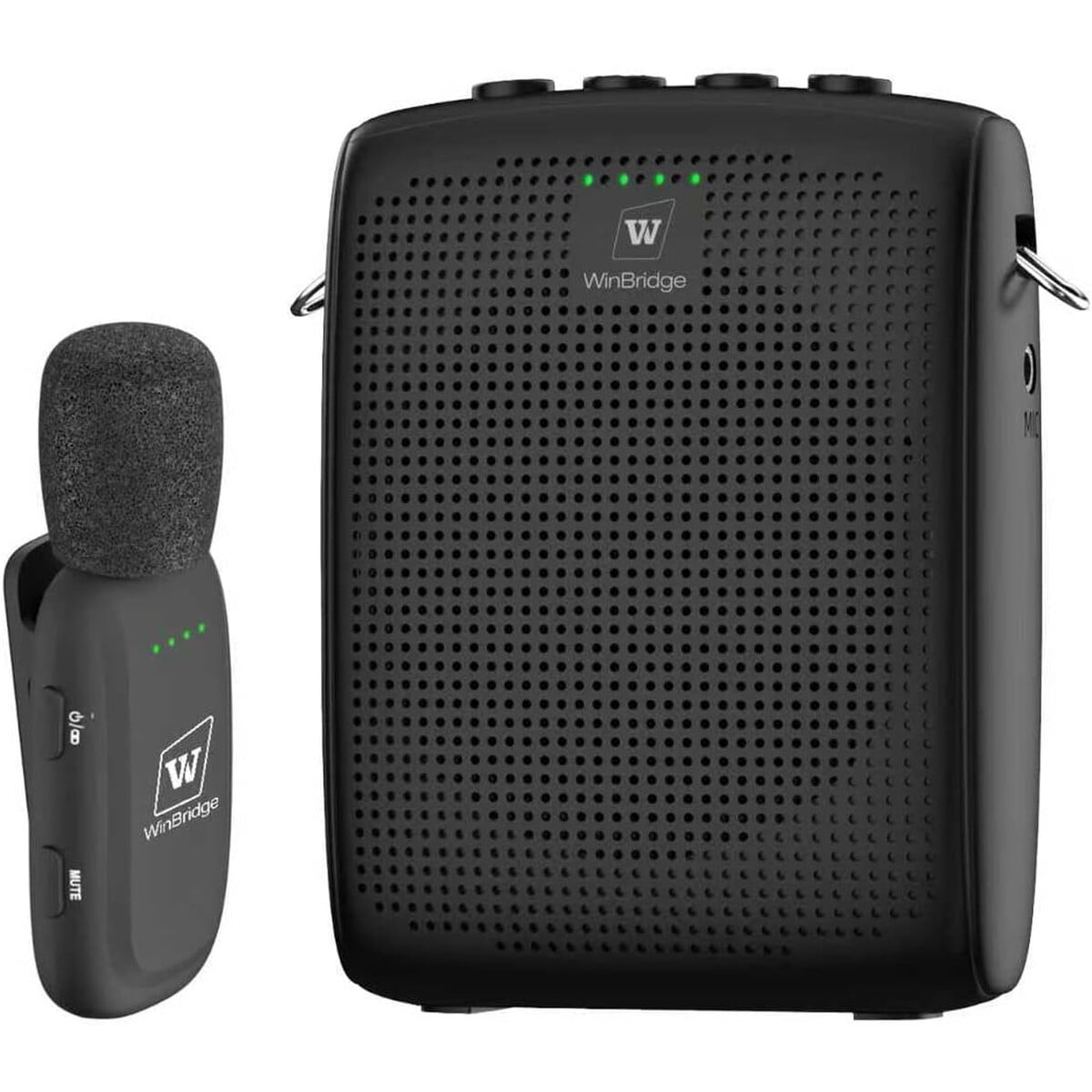 Amplificador De Voz Inalámbrico Winbridge 15w Micrófono Wb005