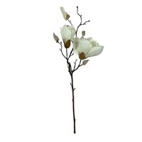 Corel - Magnolia Blanca 50Cm