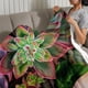thumbnail image 3 of Plantas Suculentas anti-pilling, suave, ligera, esponjosa y acogedora de lujo para hogar y cocina – Perfecta para niños y adultos, 100 x 150 cm, 3 of 6