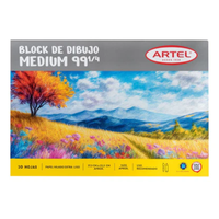 Block Medium 99 1/4 20 Hojas Display 1 Un Artel