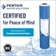 thumbnail image 3 of Filtro de agua Pentair Pentek GAC-20BB Big Blue Carbon, 3 of 5