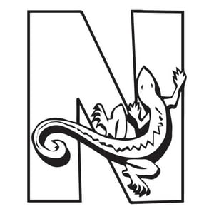 Rienda Libre Graphics - Decomural N Newt Alphabet Nursery Ws-34464