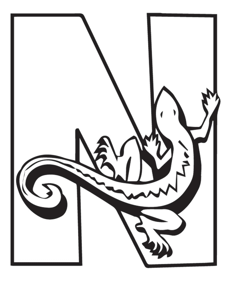 Rienda Libre Graphics - Decomural N Newt Alphabet Nursery Ws-34464