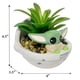 thumbnail image 2 of Mini planta suculenta decorativa RALME Mandalorian Baby Yoda, 2 of 6