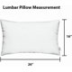 thumbnail image 2 of Almohada RSH DECOR Sunbrella para exteriores 66 cm x 41 cm (2 piezas), 2 of 6