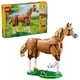 thumbnail image 2 of 31166 Caballo Noble, 2 of 4