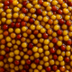 thumbnail image 4 of Mostaza Grano Entero Bornibus 1 x 245 gr, 4 of 6