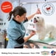 thumbnail image 5 of Shampoo para mascotas Showseason Sugar Cookie 473 ml eliminador de olores, 5 of 8