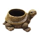 thumbnail image 5 of Maceta De Tortuga, Jarrón Coleccionable, Maceta De Escritorio, Maceta Para Regalo, Oficina, Marrón, 5 of 5