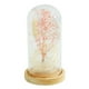 thumbnail image 3 of Lámpara De Cúpula De Cristal De Flores Secas Led Lámpara De Mesa Cadena De Luz Rosa, 3 of 3