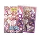 thumbnail image 1 of Protector Dragon Shield Art Dual Matte Grand Archive Haniel, 1 of 3
