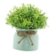 thumbnail image 1 of Pequeñas Plantas Artificiales En Maceta Para Bodas, Oficina, Orquídea Falsa, Flor De Frijol En Maceta Verde., 1 of 5