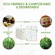thumbnail image 5 of Bandejas escolares desechables Vplus, 100% compostables, platos de papel con 5 compartimentos, paquete de 100, 5 of 7