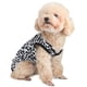 thumbnail image 1 of Traje de recuperación postoperatoria para perro Due Felice, estampado de leopardo para hembra, 1 of 5