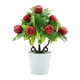 thumbnail image 1 of Plantas Artificiales En Maceta Para Decoración Del Hogar, Plantas Falsas Para Estantería De Oficina, 1 of 5
