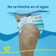 thumbnail image 5 of Pañales de Bebé Pampers para Piscina XG, 10 Un, 5 of 6