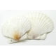 thumbnail image 3 of Tiza blanca sin polvo 日本理化学 Rikagaku, 6 piezas, 3 of 3