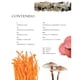 thumbnail image 2 of La vida de los hongos, 2 of 4