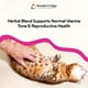 thumbnail image 5 of Vitaminas Prenatales Revival Animal Health Oxy Mate 60 unidades, 5 of 8