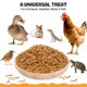 thumbnail image 5 of Alimento para Mascotas BENEYUMI Gusanos de Harina Secos 4.5 kg Proteína Natural, 5 of 7
